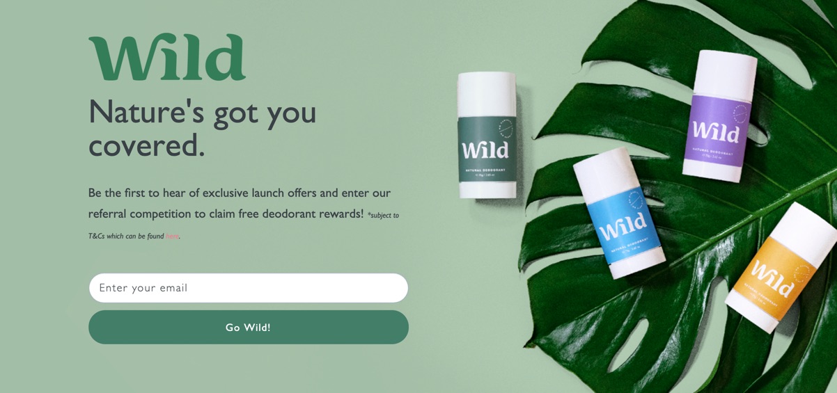 wild deo signup page