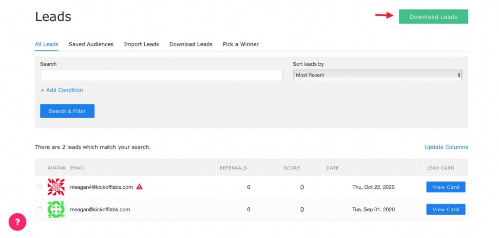 Download Leads button
