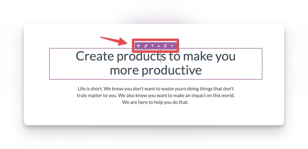 snippet editor