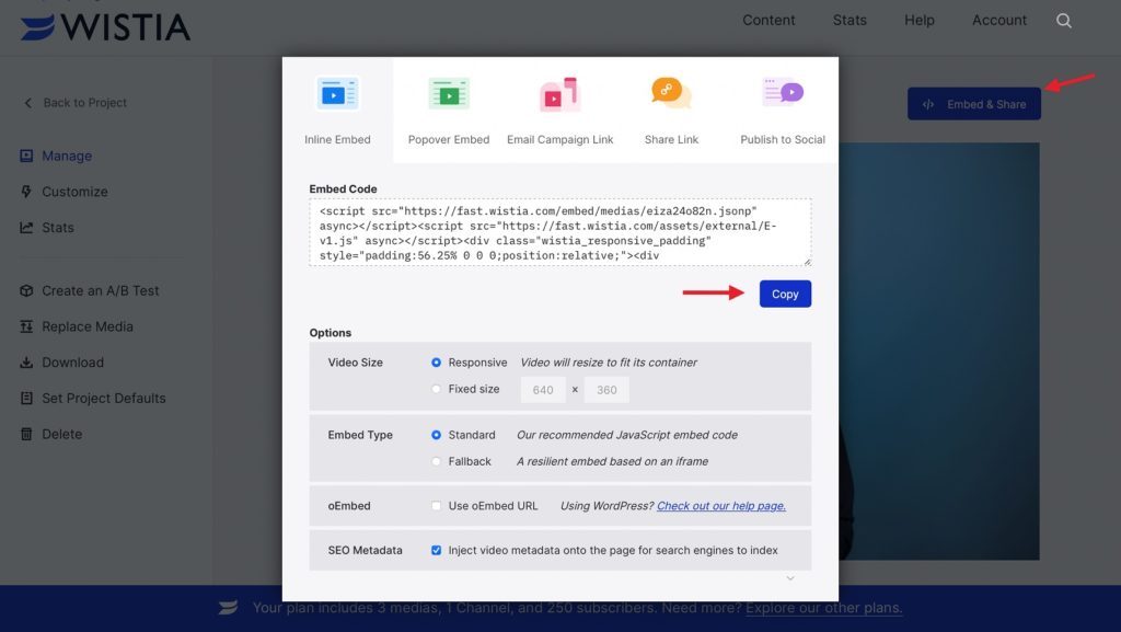 wistia-embed