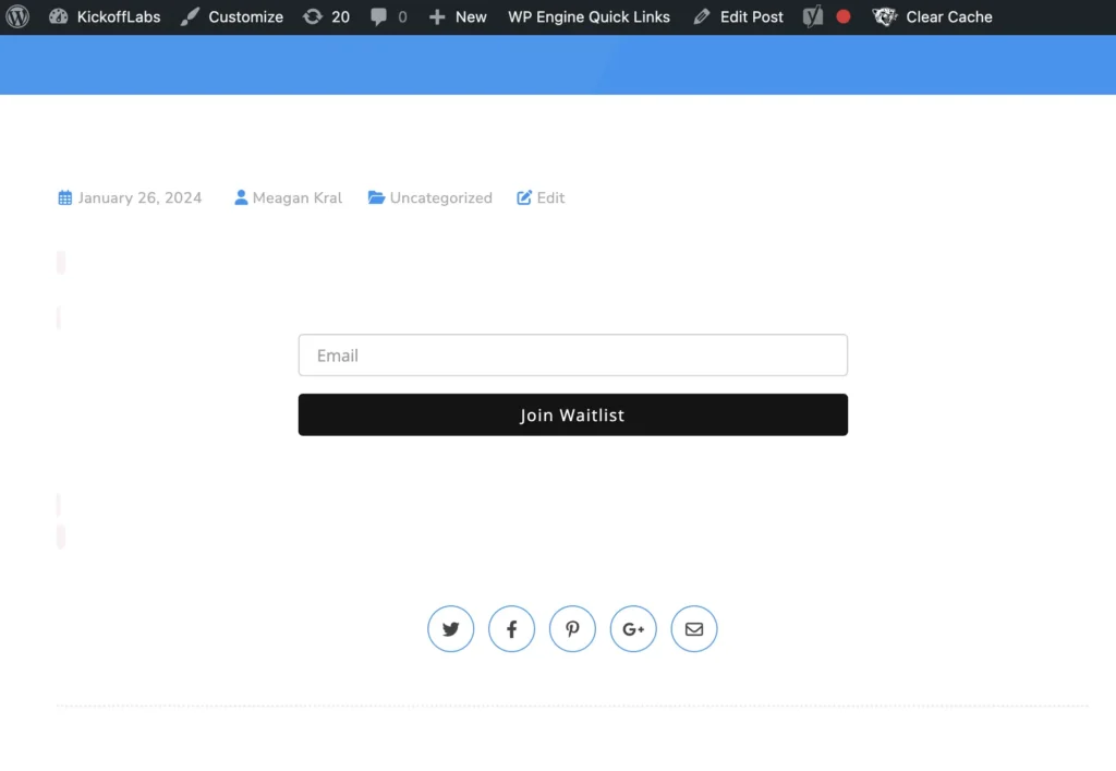 live wordpress page