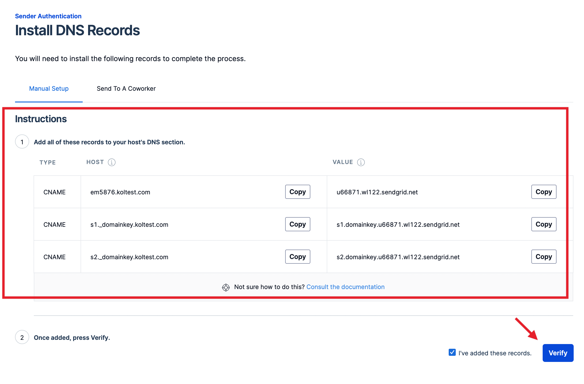 verify dns records