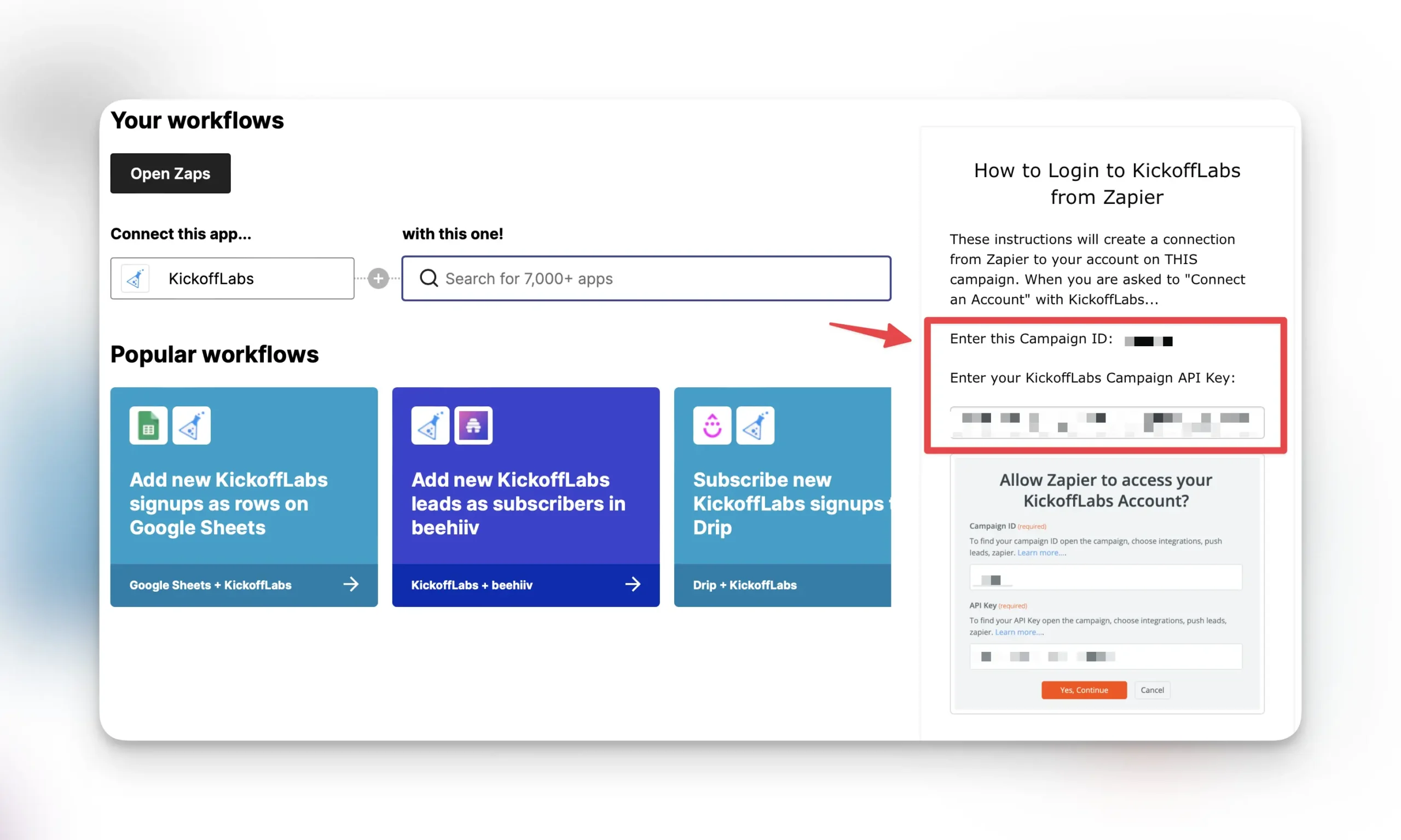 Copy campaign Api key