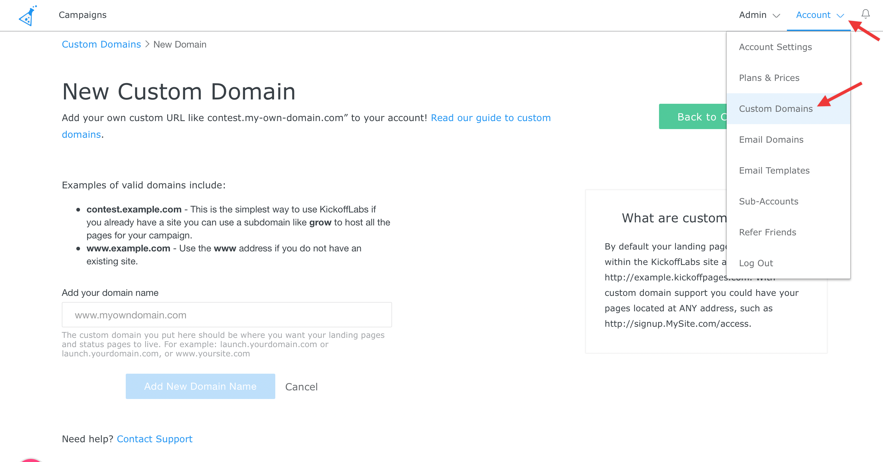 custom domain setup settings